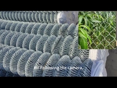 Elektrogalvaniertes Diamantdrahtnetz 2 Zoll Kettenverbindung Farm Zaun