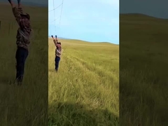 Hot Dip Galvanized Viehzaun Panel 8 Ft Höhe Festknoten Hirschdrahtgitter Zaun