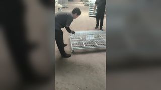 Robuste, faltbare Drahtgeflecht-Lagerkäfige für Lagerhäuser