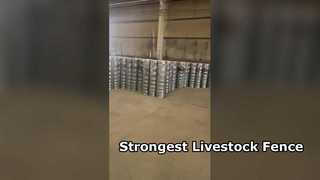 Starker Viehzaun für Rinderpferde