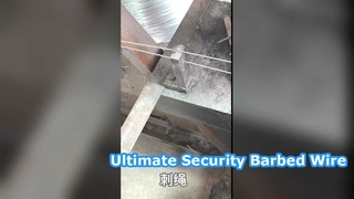 25 kg verzinkter Stacheldraht-Sicherheitszaun