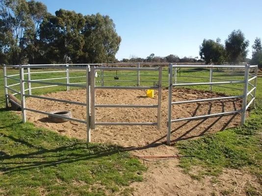 Galvanisierte Schweißrohr Rinderzaun Panel 8FT Pferdefarm Zaunplatten