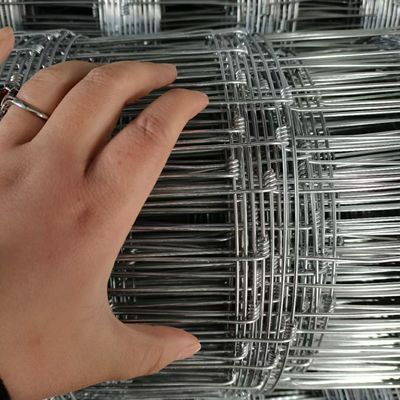 1.5M Galvanisierte Rinderplatten, Metallviehplatten für die Landwirtschaft