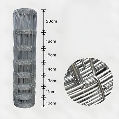 1.8M Height Galvanized Hinge Joint Metal Livestock Grassland Cattle Fence Netting for Strong and Sturdy Fencing Solution