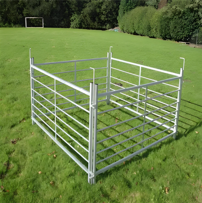 Portable Galvanized Steel Cattle Fence Panel 1.8x2.1m for Livestock and Farm Animals